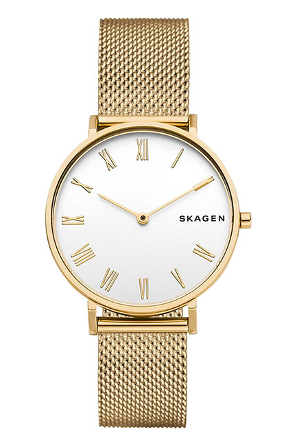 SKAGEN SKW 2713 SKAGEN SKW 2713