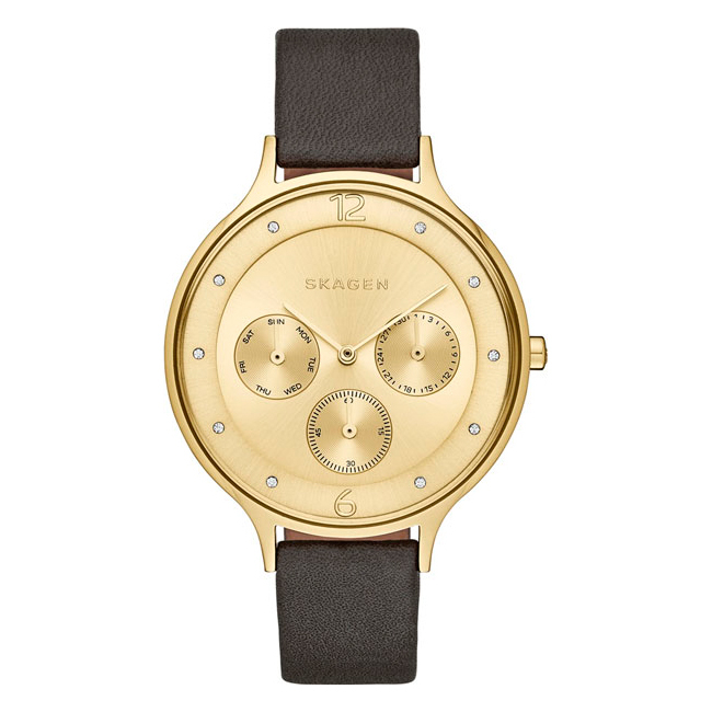 SKAGEN SKW 2393 SKAGEN SKW 2393