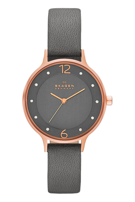 SKAGEN SKW 2267 SKAGEN SKW 2267